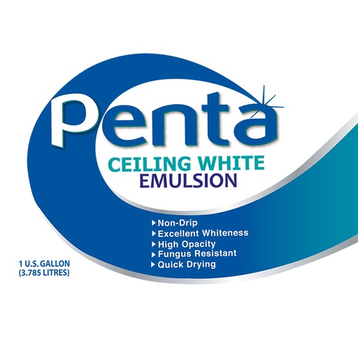 Penta Emulsion Ceiling - White 1 Gallon